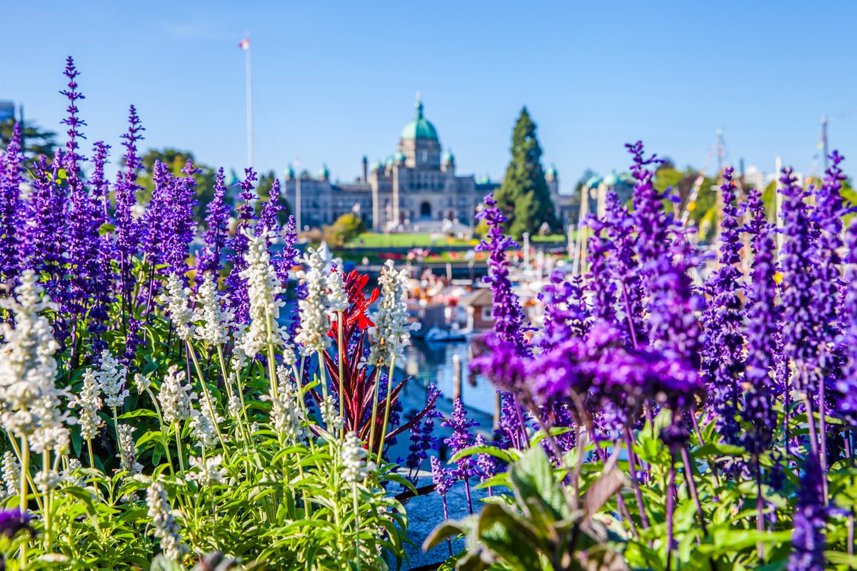 TVicBusiness's tweet photo. Honoured to see Victoria on @MPIToronto's list of Top 5 Canadian Destinations to Host Events in 2018.
See full article here: https://t.co/YPm2l2C169
#EventProfs #MeetVictoria #ExploreVictoria https://t.co/pKw8JLh0sw