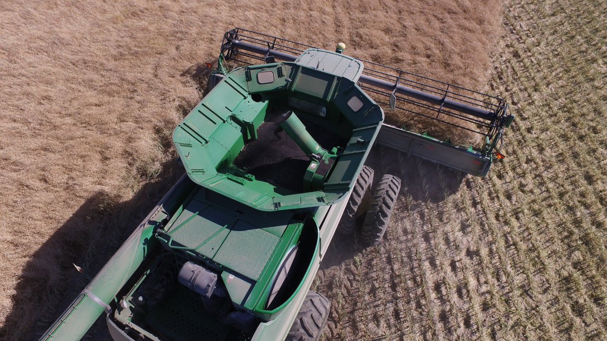 We are so pleased by yesterday's announcement from Australian regulators that approval has been granted for our Omega-3 DHA canola. 
This is a significant milestone - and a world's first! - for Nuseed and its collaboration partners, <a href="/CSIROnews/">CSIRO</a> &amp; <a href="/theGRDC/">GRDC</a>: bit.ly/2Ep0U26