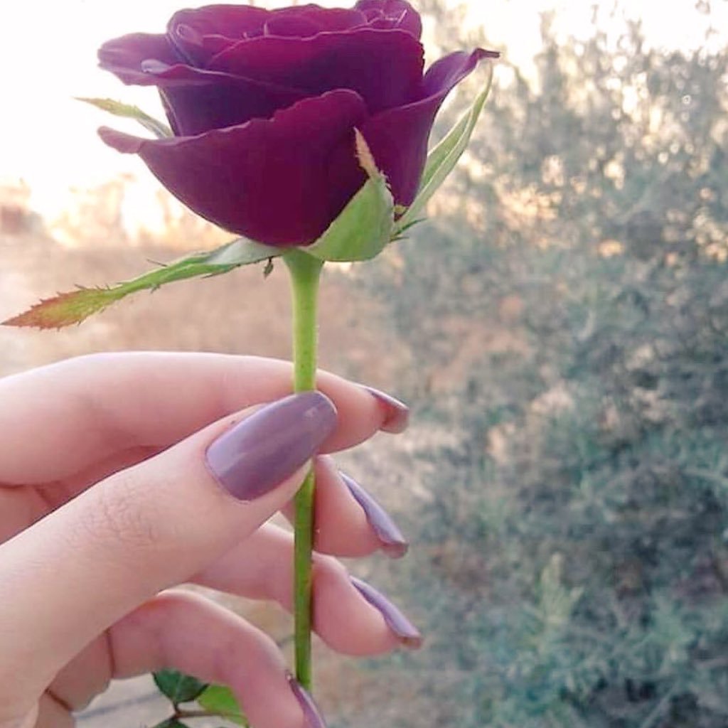 <a href="/asalah7arf/">#قروب_أصالة_حرف</a> وكم أستلذ العزف حين يكون نهايته 
#أصالة_حرف 

جزيل الشكر لكم وممتنة لصدفة قادت قلمي إليكم…
