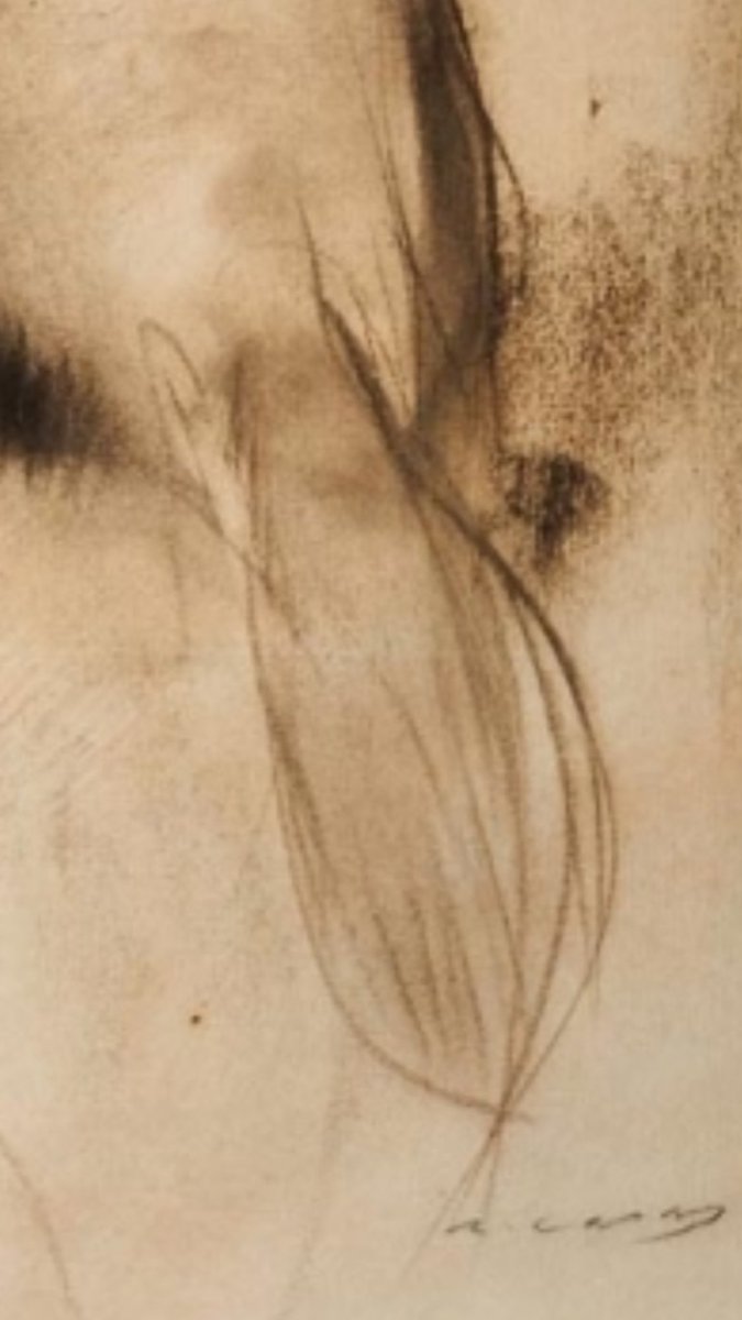 Beli Artigas tweet media