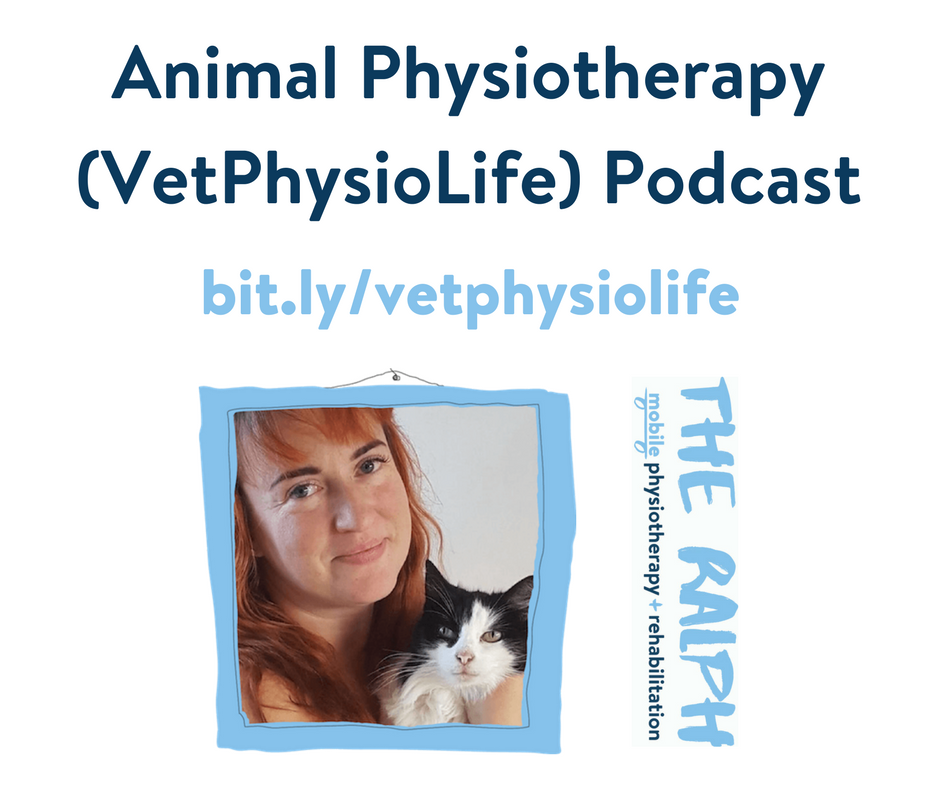 TheRalphMPRS's tweet photo. #VetPhysioLife Ep. 36. @Kimsheader is Chair of @ACPATphysio. We start by hearing about their recent conference. And kinematics, kinetics, force plate analysis. We then discuss a couple of Kim's patients, incl. a ~15kg #mainecoon 

https://t.co/sfYBejK2k9

#vetphysio #animalphysio https://t.co/BMnAW7SP63