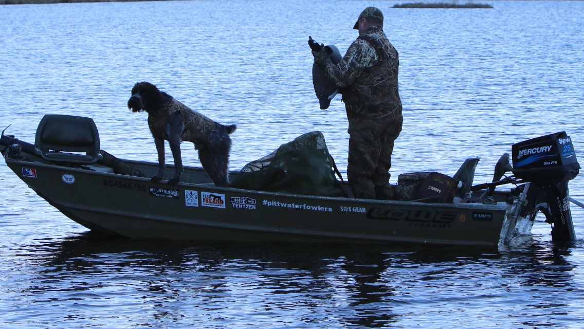 czarofbar's tweet photo. They are there through anything...even the days the geese don’t show. #pittwaterfowlers #gwp #gundog #cabelascanine #SDATV #sportingdog https://t.co/B1ncMyXeZt