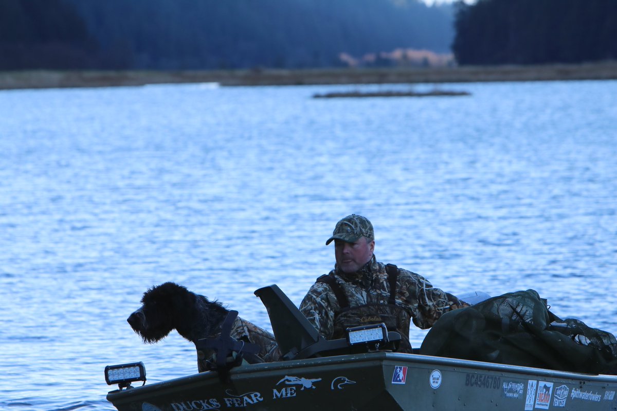 czarofbar's tweet photo. They are there through anything...even the days the geese don’t show. #pittwaterfowlers #gwp #gundog #cabelascanine #SDATV #sportingdog https://t.co/B1ncMyXeZt