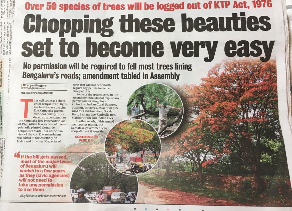 srinirao88's tweet photo. It is just a matter of 2 mins to chop of a tree 🌲 and to grow the same it will take years together. Please #MaraKadibedi #DearMLAVoteNO2KTP 
No Trees then no life. 
Think and act 🙏🏻 https://t.co/9PShUGi4Qn