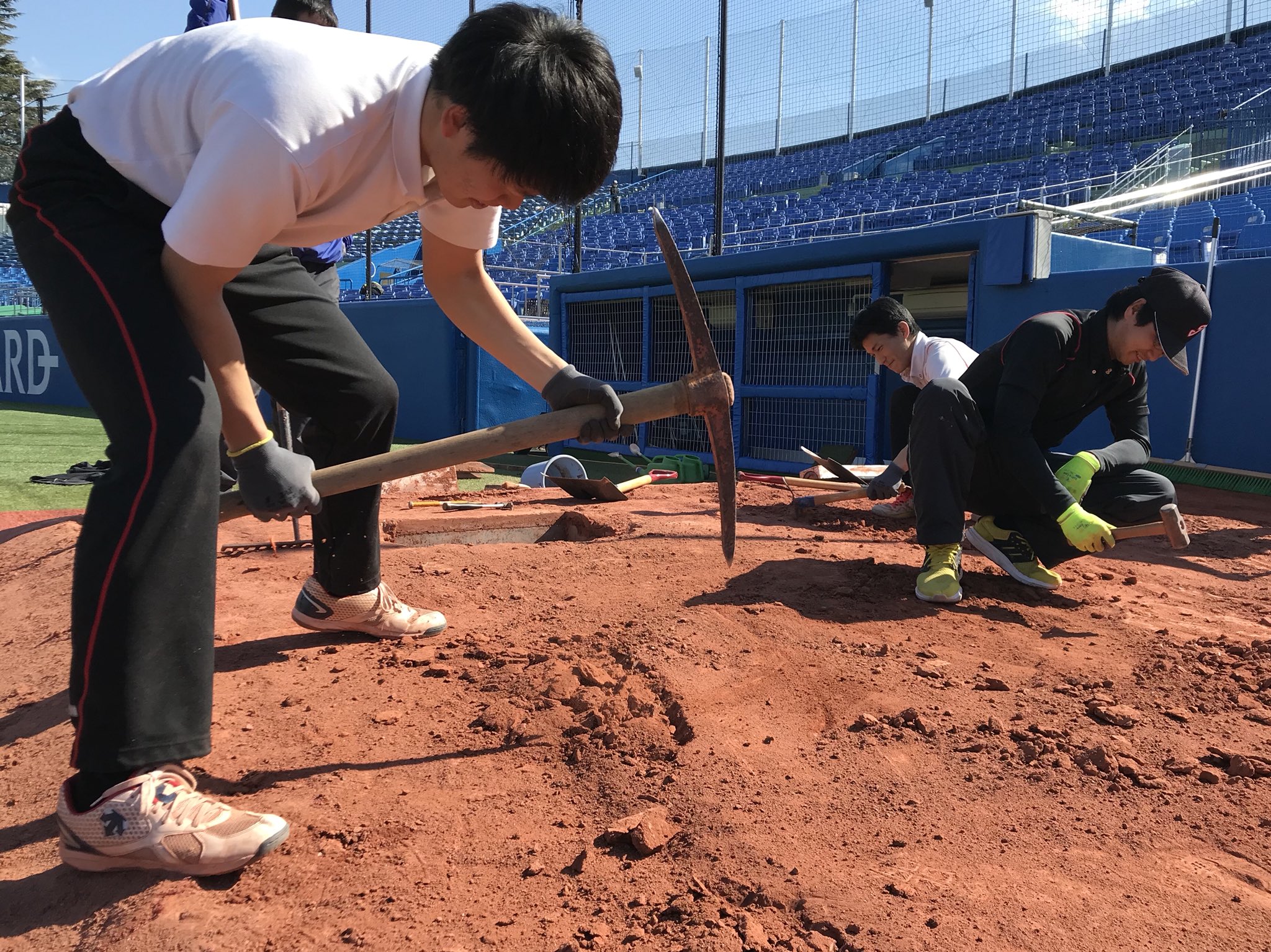 明治神宮野球場 公式 開幕に向け グラウンドメンテナンス中です ブルペンのアンツーカの入れ替え作業に伴い プレートが外されていました 人工芝は部分的に張り替えを行なっています 芝が剥がされて 下地のアスファルトが見えている状態です 神宮