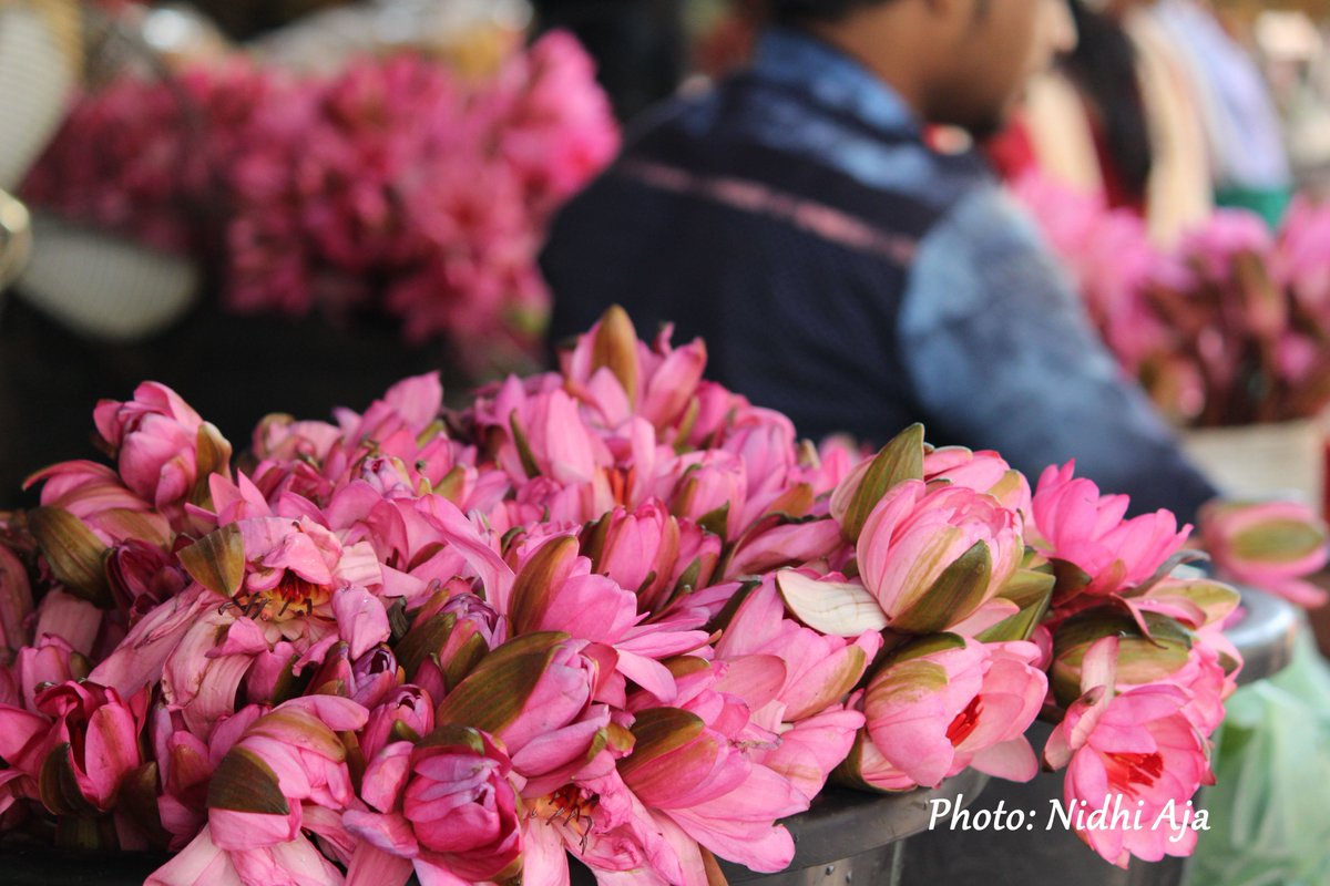 nidhi_budha's tweet image. ପବିତ୍ର ମହାଶିବରାତ୍ରିର ଅନେକ ଶୁଭେଚ୍ଛା ଓ ଶୁଭକାମନା । 
ଏ ପ୍ରେମ ଟିକେ ଅଧିକ ଗହିରିଆ.. ଜୟ ଭୋଳା ବାବା 

#MahaShivRatri #Kapilas