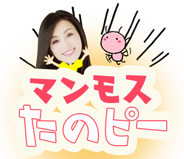 酒井法子のりぴー　Flash 直筆サインコメントあり