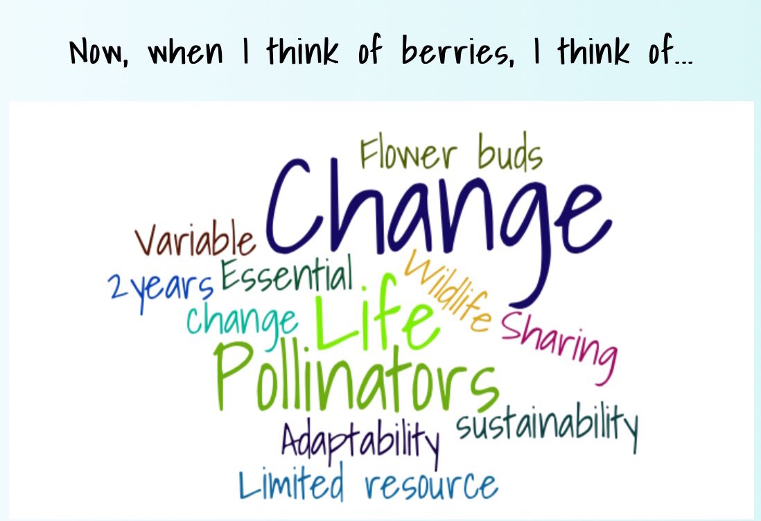 The Winterberry citizen science project goes to @alaskaforum #akforum2018