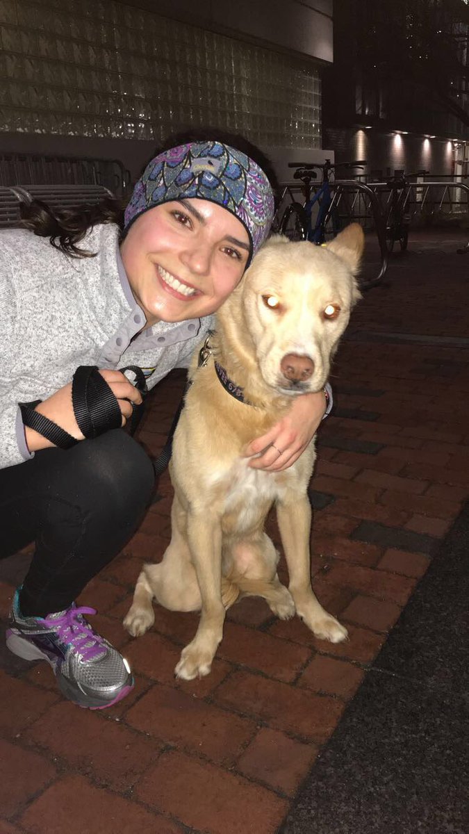 burunning's tweet image. Hey terrier runners, it’s rush week at BU so come rush* running club!! We have dogs!! 

*no rushing required, just show up