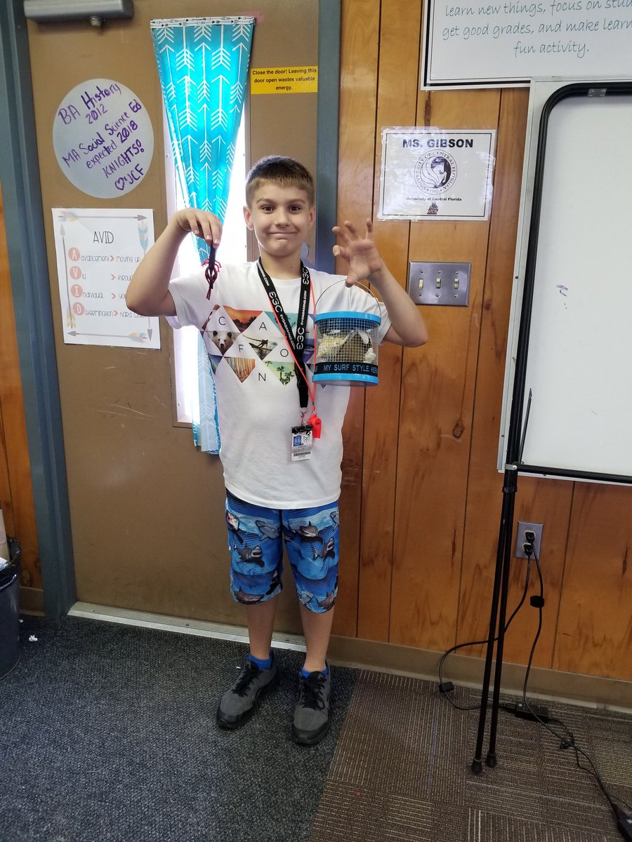 EllaGibsonFL's tweet photo. When you want to be a marine biologist, you can't forget the accessories! #dressforsuccess #LakeAVID #AVIDWEEK2018 #whmsAVID #lovethesharkshorts https://t.co/vzYi3AGujs