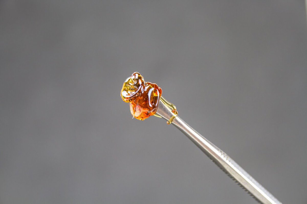 fliproducts's tweet photo. Happy #TerpeneTuesday ! Celebrate it with our grapefruit haze concentrate!🍯
•
•
•
#flï #fliproducts #thc #dabs https://t.co/MOxeJsTUax