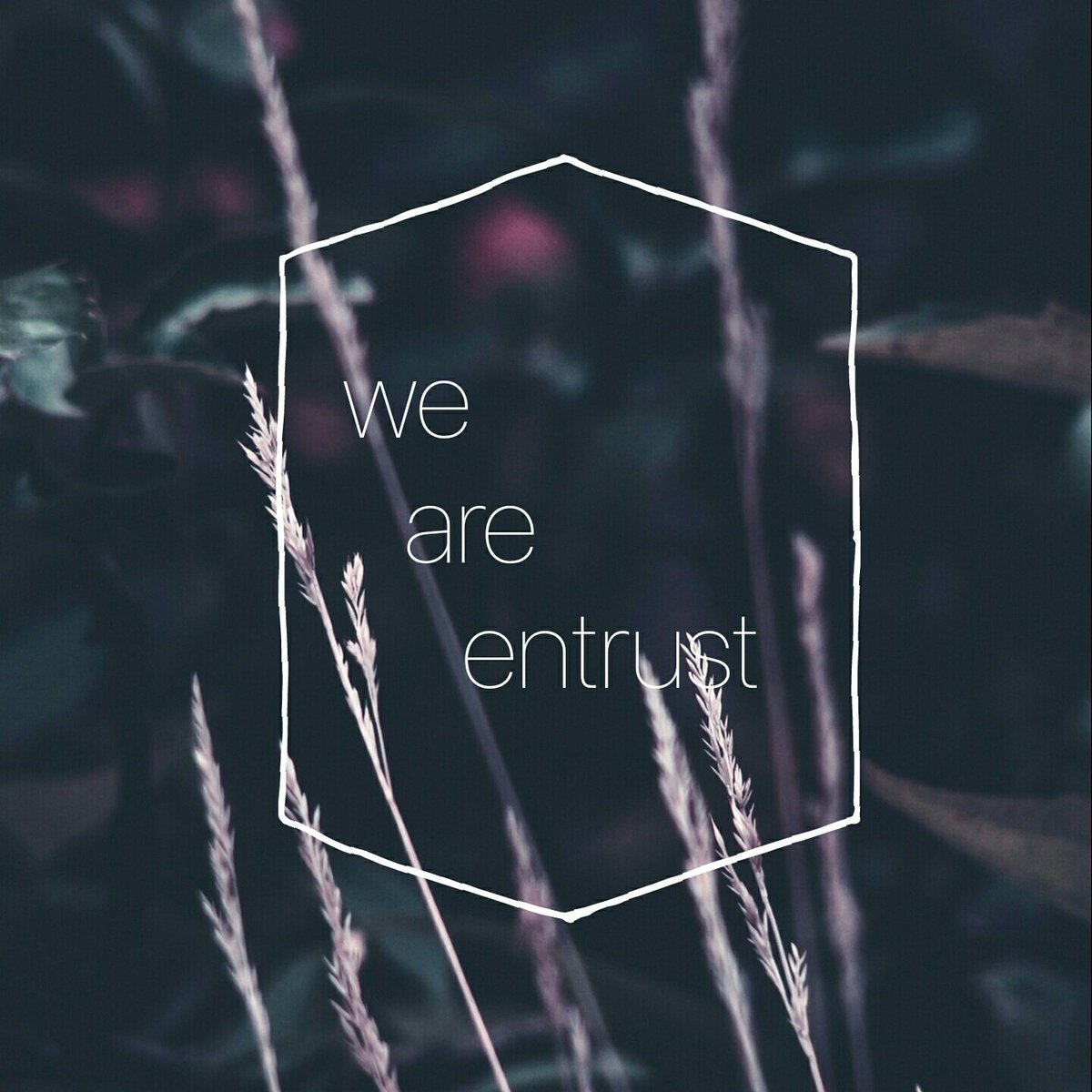 EntrustOfficial's tweet image. #NewProfilePic