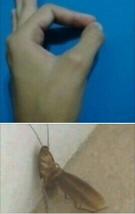 PorongoXd's tweet photo. noo q locura https://t.co/wQpwI4Wpxw