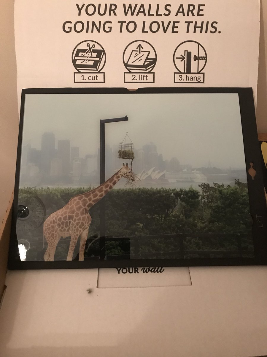 vivefutbol's tweet image. Looking forward to hanging my new print from @FractureMe #picturesonglass #fractureme #coolframe #uniquegifts #Frame