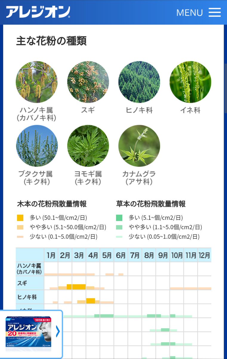 薬 花粉 いつから の 症