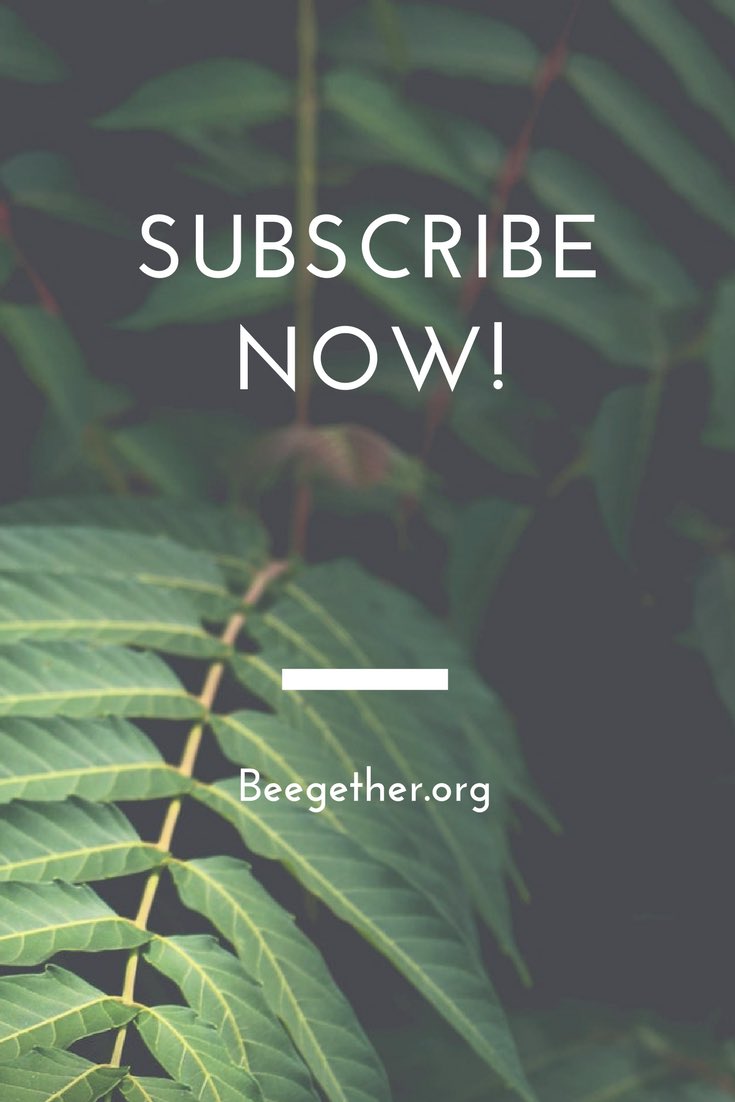 beegether's tweet image. Subscribe to Beegether's email list and get actions, motivation, and bee news on a monthly basis! beegether.org/subscribe/ 🐝 #inboxforchange #inbox #emaillist #email