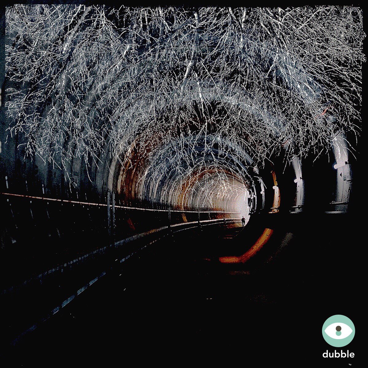 ipdegirl's tweet photo. #dubbleapp #dubblewithme #dubbles #doubleexposure #ipdegirl #multipleexposure https://t.co/zfMHjgXN87