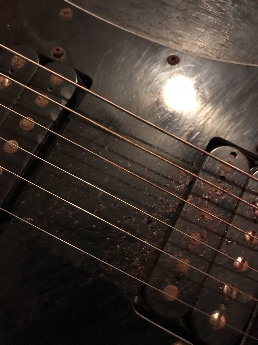 gnarly blood on the gee tar