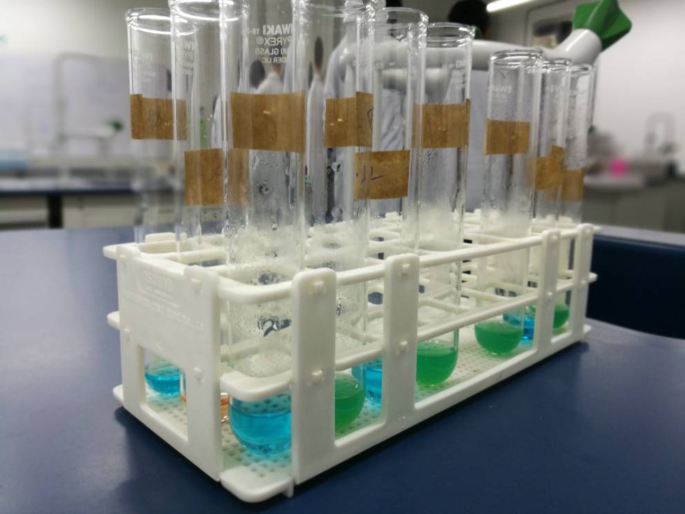 JASONRAJEDWARD's tweet photo. Experiment time in biology lab with *Friends--GroupMates* π€π€
Using different liquids/chemicals and important material is ^saliva^
#UTAR #Utarians
#Sharveen #Vicky @JASONRAJEDWARD @efrenpravin https://t.co/VdPLdQv4WO