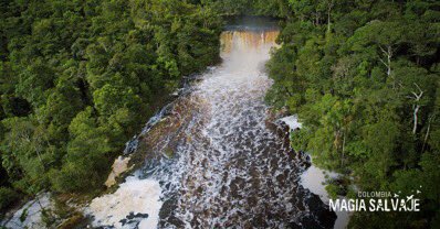 Gracias a nuestra riqueza hidríca contamos con caídas de aguas tan lindas y abundantes como esta. ¿Qué te parece Caño Mina?