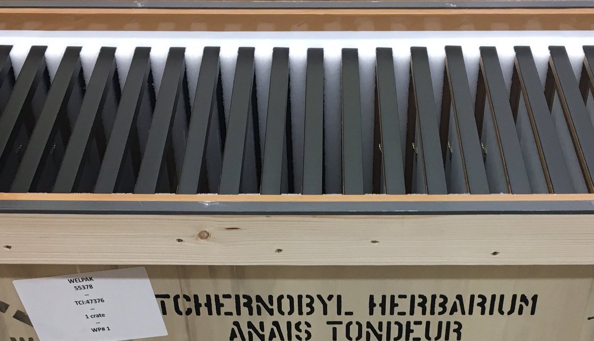 steveke's tweet photo. 30 photograms by @AnaisTondeur - Chernobyl Herbarium - arrived today from Paris for Big Botany: Conversations with the Plant World
#BigBotany https://t.co/HK6zjvDIhf