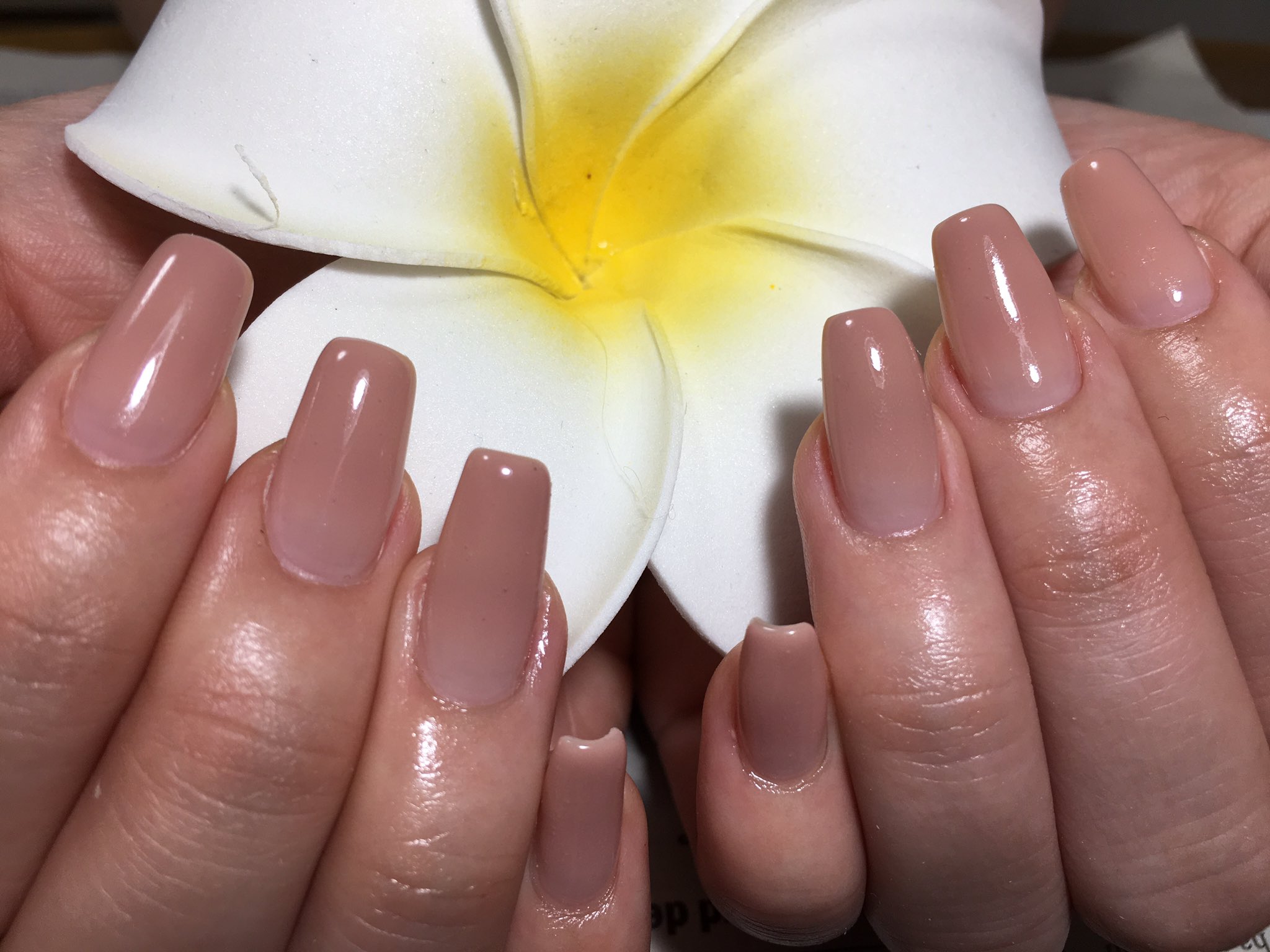 Kotono A Twitter Nail Nails シンプルネイル オフィスネイル ロングネイル スカルプ スカルプネイル 個性派ネイル Makana Makananail Kotono A Twitter Nail Nails シンプルネイル オフィスネイル ロングネイル スカルプ スカルプネイル 個性派ネイル Makana Makananail