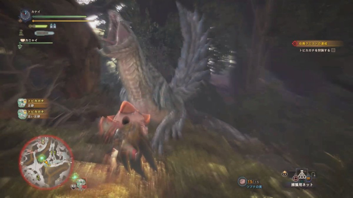 カナイ 雑多な人 على تويتر ここまでで出来る 3までの依頼クエと古代樹の森と大蟻塚のキャンプ候補地巡りを終え 先日ソロで行ってmhw初3乙貰ったトビガガチにリベンジする事に 一度コテンパンにされ苦手イメージ付いちゃいましたが いざ それは気合で払拭したいと