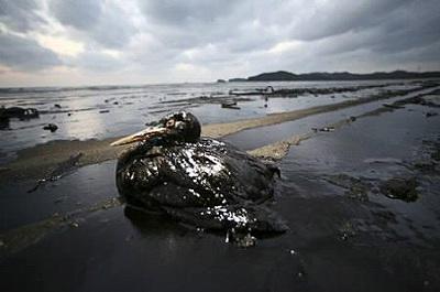 越渇磨島