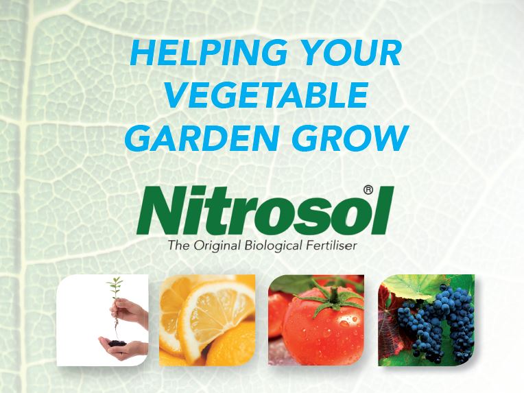 nitrosol's tweet photo. Locally made in NZ #nitrosol #fertiliser #homegardens  Check out our Blood n Bone or Fish or Tomato at your local retailers or call us 0800803060 https://t.co/VePtuOvJxp