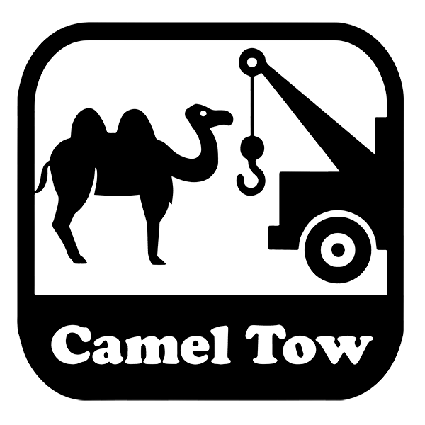 qCumberZA's tweet photo. Camel Tow - T-Shirt

#cameltow #camel #tow #mammal #mammaliv #sexualinnuendo #dtg #dtgprinting #funny #fresh https://t.co/vACg2gAjoF https://t.co/5ydlDadyIN