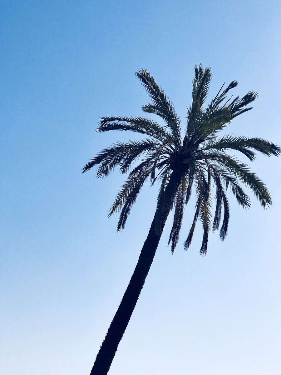 studioVitaliano's tweet photo. Il backstage del nuovo progetto “Ti Racconto Il Marocco” con @lalessiuccia @vuance @ChefMolon e @visit_marrakech Sarà una cosa fighissima... A breve
#Marrakech #Marocco #esotica #tiraccontoilmarocco #visitmarocco #dardarma #Марокко #Марракеш #экзотика #travel https://t.co/XUeYs6RrqA