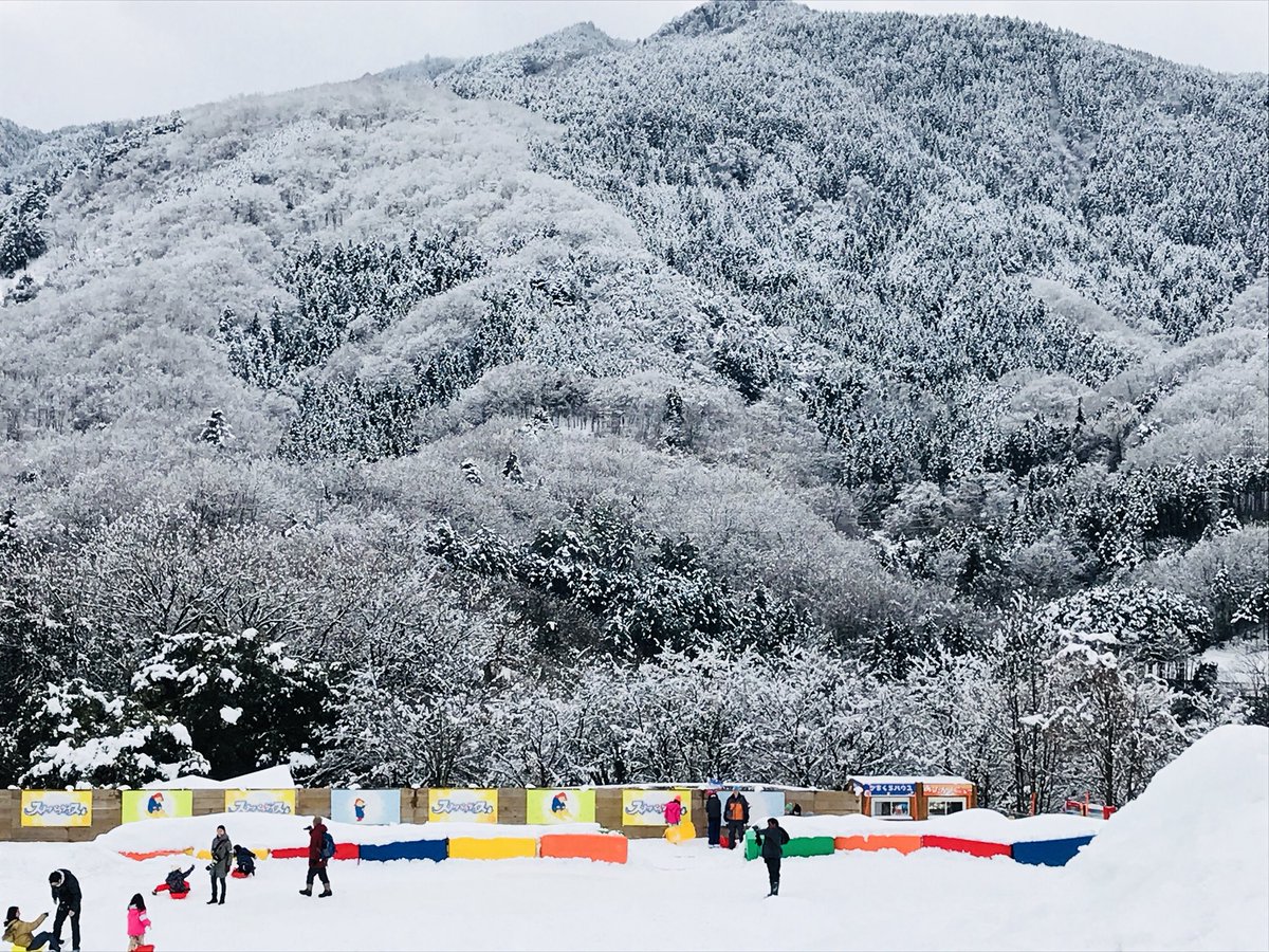 MSTokyoOak's tweet photo. Wintery scenes from Snow Fun Day 2018! #MSTfun #MSTjoy #MSTElementary ❄️😄☃️🌨🗻 https://t.co/vsrqQr5CpJ