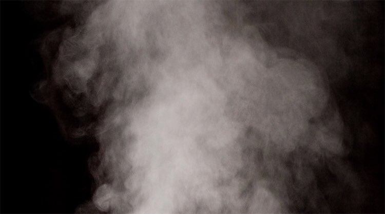 Strutionum's tweet image. 