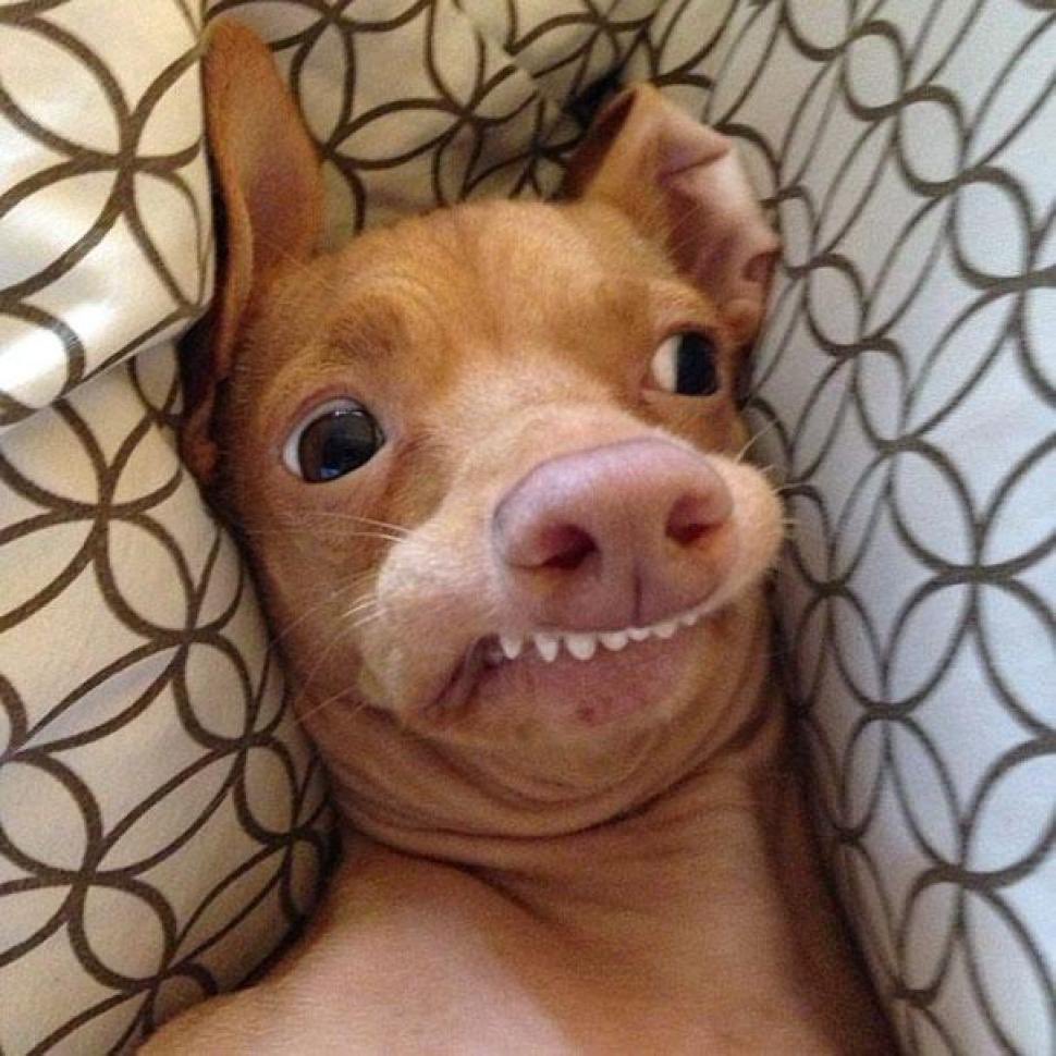 La cara de Desanti cuando Charlie le pregunta por la entrega del déficit fiscal del PLN 🤣🙌🏼