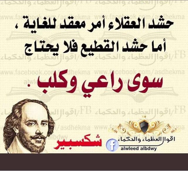 HhHidian's tweet photo. https://t.co/XDWLglXQ2M