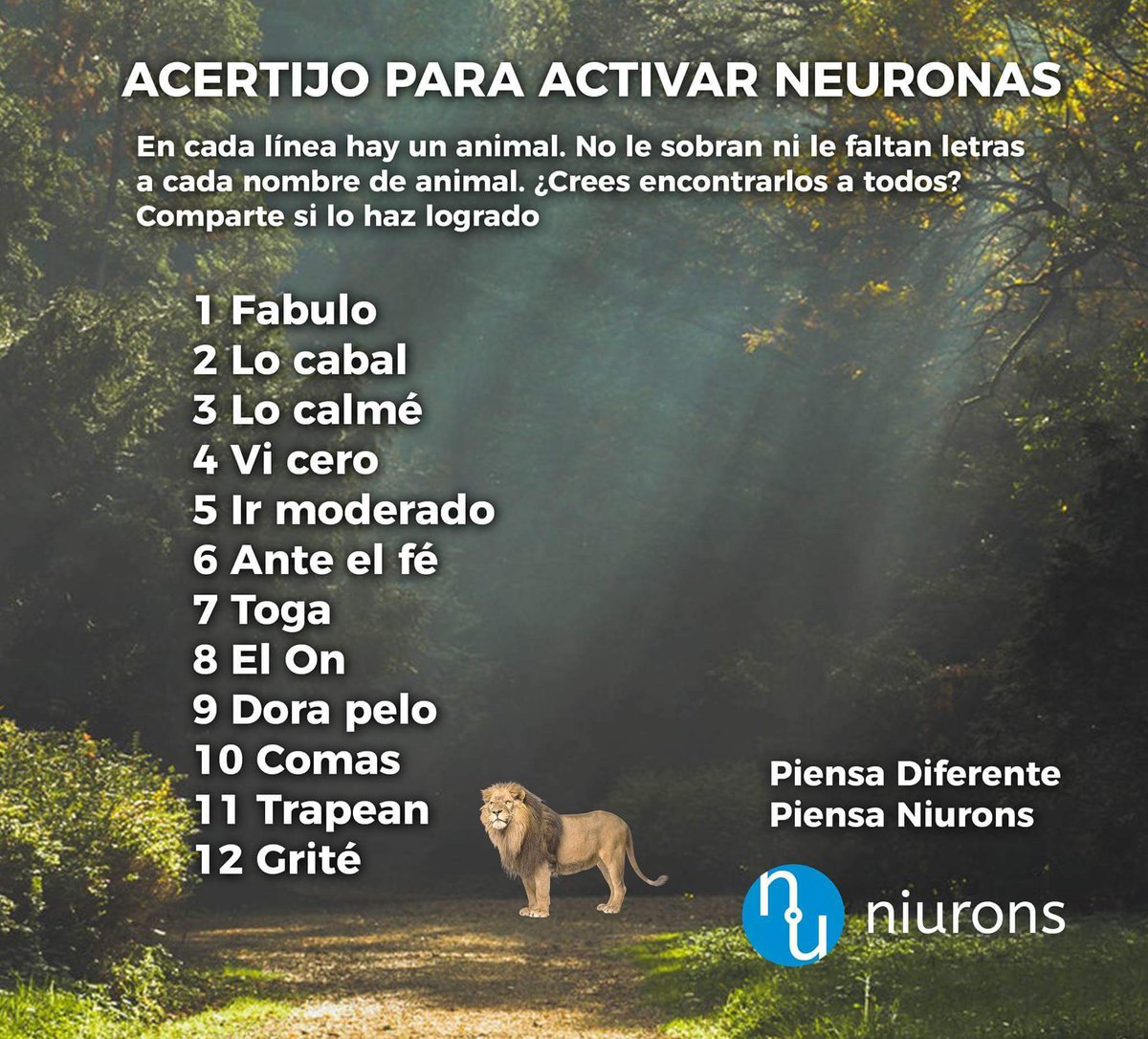 Carlosdorados's tweet image. #LaNetaLaNeta te reto!!!! 
¿Puedes?

RT