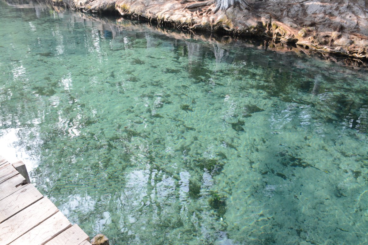 Baldovo's tweet image. #LaNetaLaNeta esta foto es mia!