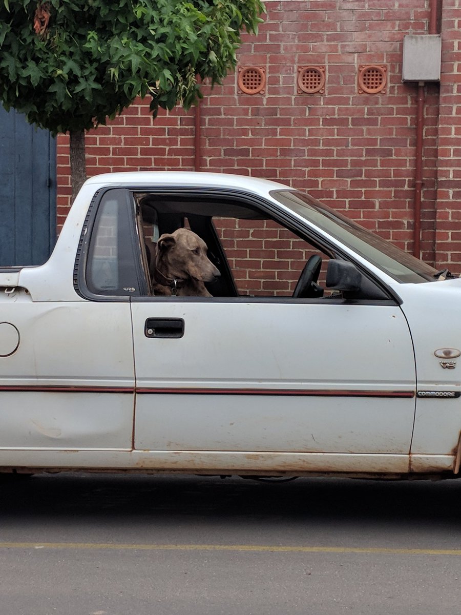 BridgetownPol's tweet photo. Nobody is safe when it comes to Bridgetown Police RBT's #thatsruff https://t.co/7k9ndfrulg