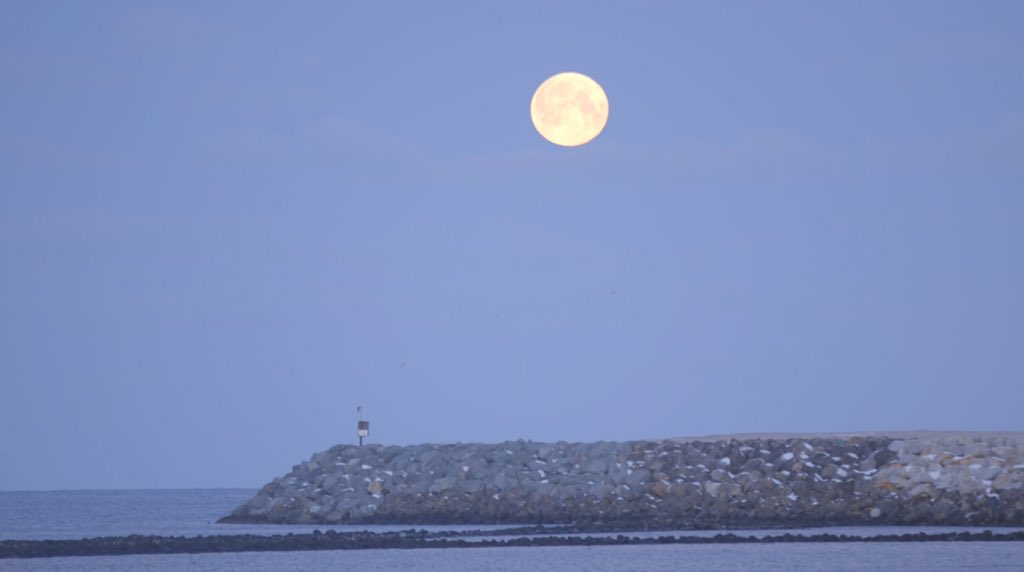 cameraandlight's tweet image. The other nights super moon!
