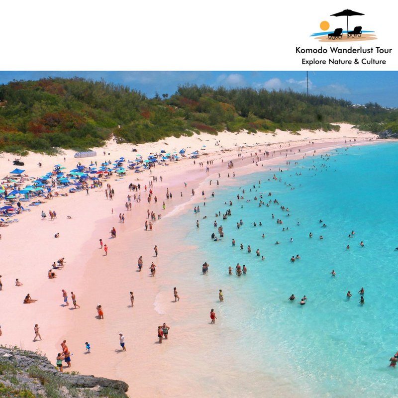 komodowanderlus's tweet photo. Tired of haggling? Getting rained on? Or getting lost? 

Explore full day trip to Labuan Bajo-Rinca Island-Pink Beach at #KomodoWanderlustTour and create invaluable memories. 

https://t.co/4wI8rkLIoh

 #Destination #Journey #TriptoKomodo #PinkBeach #AngelIsland https://t.co/W64eF4459c