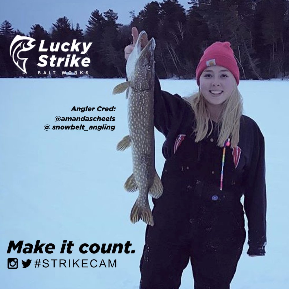 LuckyStrikeBait's tweet photo. #strikecam here from @amandascheels on Instagram! Remember to join us on Instagram, and use the tag #strikecam for a chance to have your photo featured on our social media, catalogue or website! #luckystrikebaitworks #strikecam https://t.co/18mGBijo49