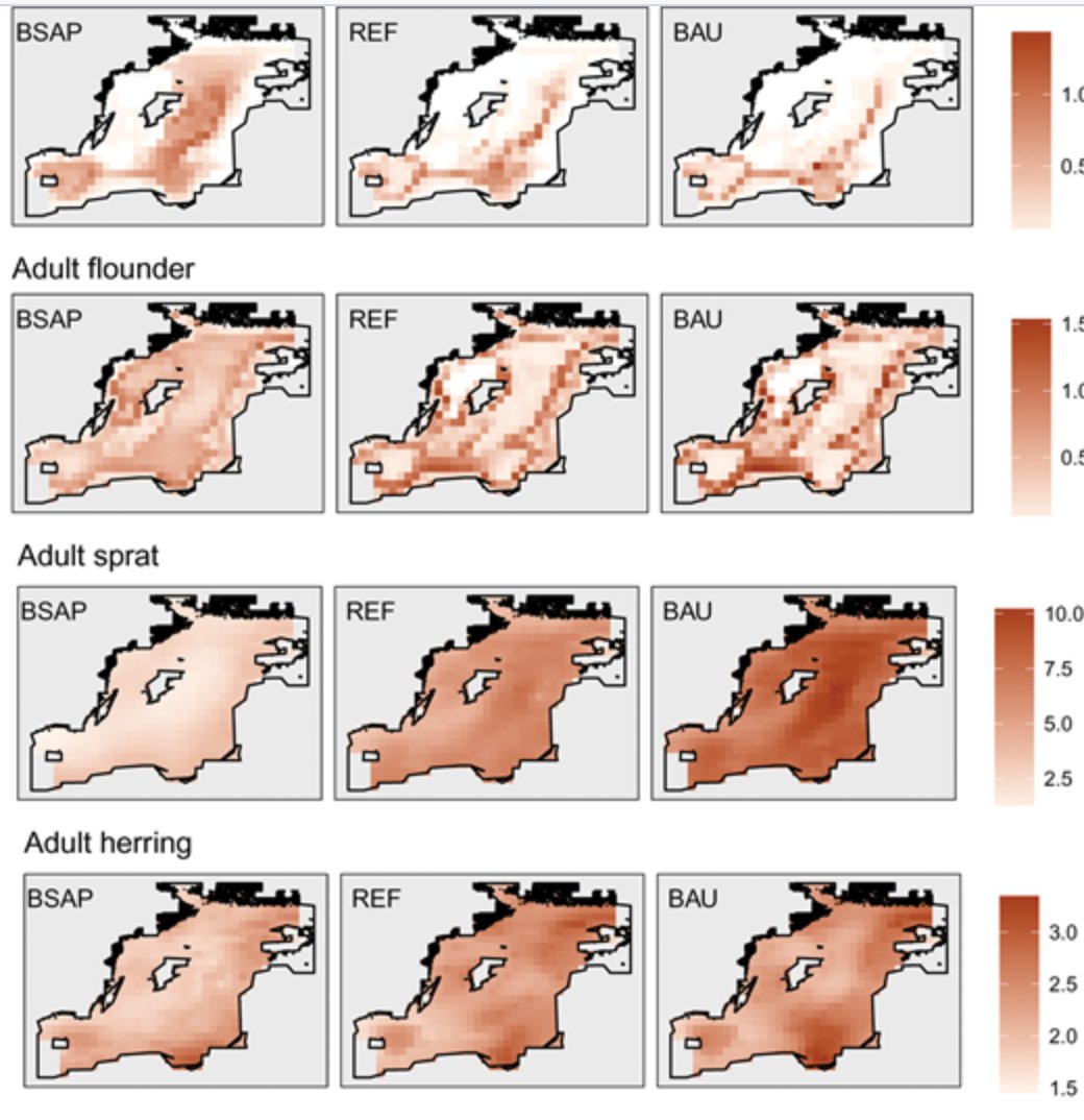 maciejttomczak's tweet photo. Our new paper at IJMS on potential spatial effects of nutrient management on #BalticSea #fisheries https://t.co/kdvnQcW0ju @thebalticeye @ICES_ASC @havochvatten @Pestka_ @Ecopath @MareFrame @BalticAPP @EU_MARE @HELCOMInfo https://t.co/2pmVkctFFq
