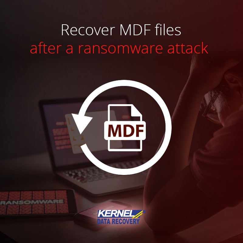 KernelRecovery's tweet photo. Recover MDF Files After a Ransomware Attack

Final Words.
After #ransomware #attacks, you will be asked to pay a hefty amount to get access to your locked #files. However, you can try to #recover lost #MDFfiles using #WindowsRecovery or #SQLRecovery tools. https://t.co/qiF5SEw6OM https://t.co/5R4FP0UdpJ