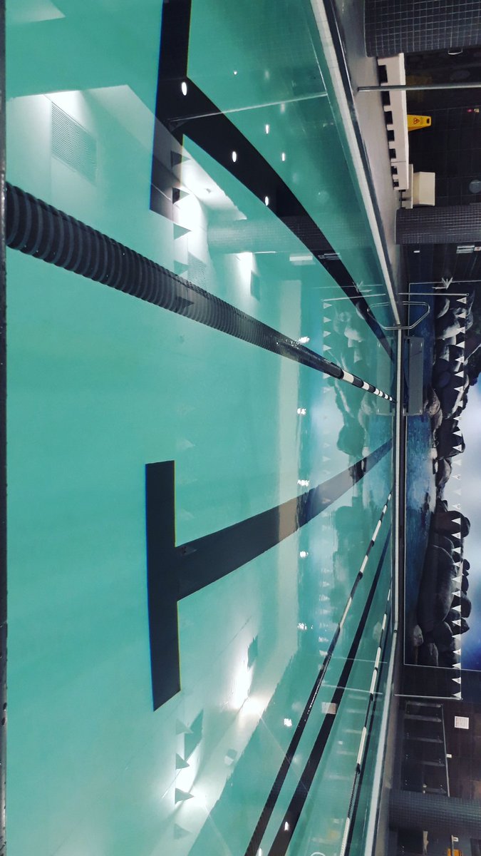 TysonDlungwana's tweet photo. P.S I need swimming lessons!
This thing is tiring yoh! After 10 lengths that waz me done!
#weStillMoving https://t.co/8UOqBXXav2