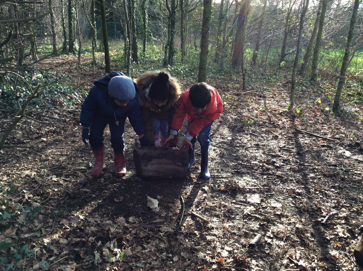 BroadOakPS's tweet photo. Awesome teamwork from 3C today! #forestcrew https://t.co/4D4Ob21QFZ