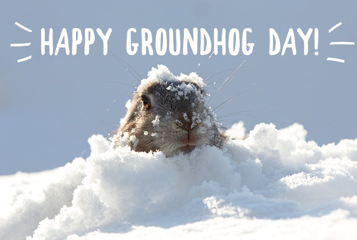 pegasus_dallas's tweet image. Happy Groundhog Day! This groundhog looks ready for the Spring! #happygroundhogday #winterVSspring #pegasuslogisticsgroup