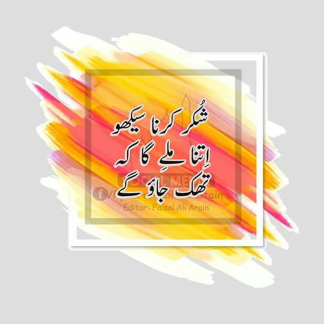 Wasim_aliApml's tweet photo. #NewProfilePic https://t.co/u6Y6cxnZV1