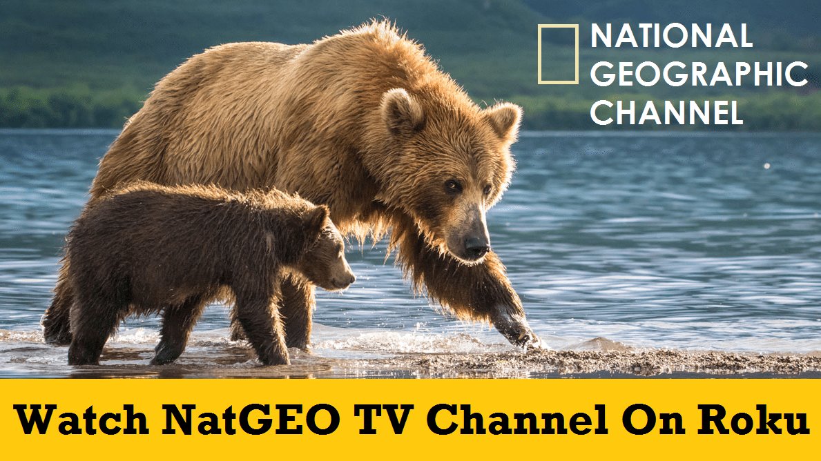 Bella_Wingat's tweet photo. To watch/activate the #NatGeo #TV on your #Rokudevice. Don't worry! We provide you some simple steps for https://t.co/SboclzbGQ6   on Roku and watch full episode of NatGeo TV. https://t.co/tb47v0R8VO https://t.co/vsCdF2CJVV