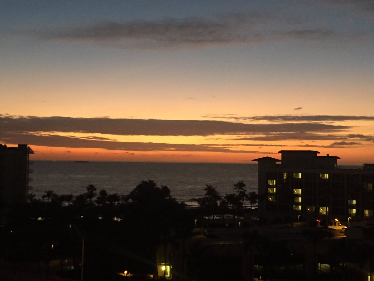 Krissy Vann tweet media