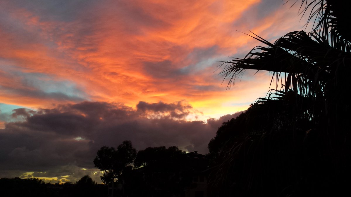 CherScheff's tweet photo. Morning sky show #Fridaydawn #Sydneyskies #StormHour #fieryclouds https://t.co/nnTEKw1pdO